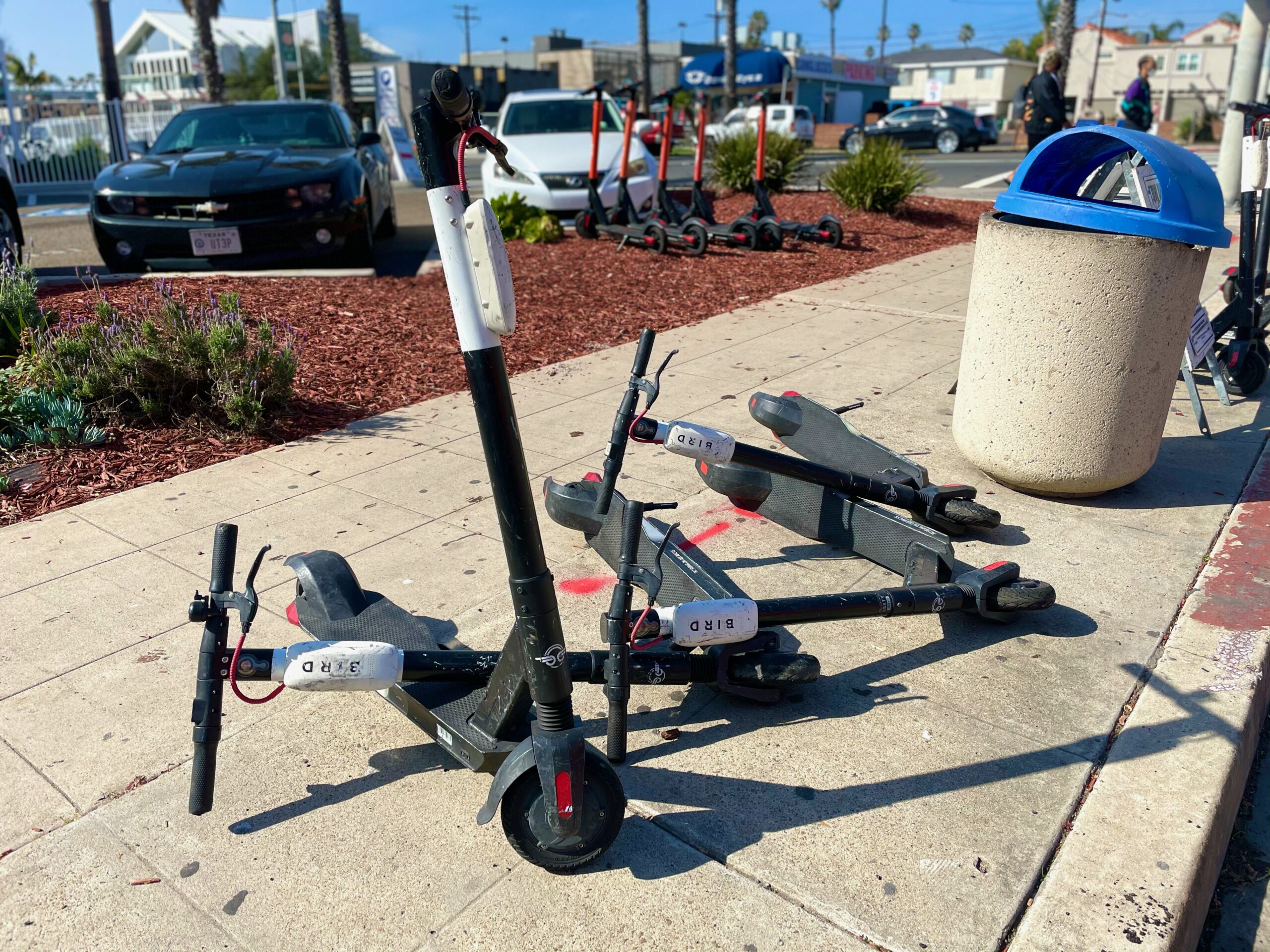 Bird Scooters Tipped Over Pacific Beach